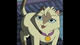 Sagwa The Chinese Siamese Cat Ep 2 The New Years Clean UpFirefly Nights