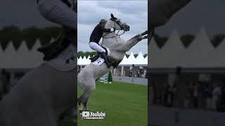 Trouble  #shorts #trending #viral #fail #horse #sports #equestrian #fall