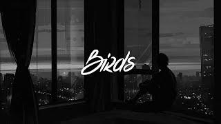 Imagine Dragons - Birds Lyrics