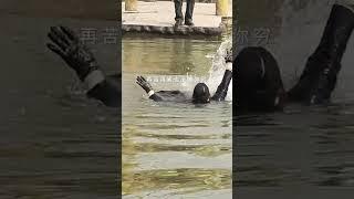 Wet leather gloves and boots in water