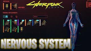 Nervous System Cyberware Testing How and If They Work Cyberpunk 2077