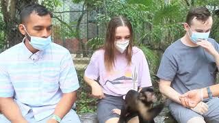 My 2020 Vacation to Mexico - Playing with a Monkey @ a Monkey Sanctuary- Akumal Mexico - 11292020