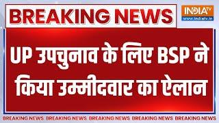 UP By Election News यूपी उपचुनाव के लिए BSP ने Milkipur से उम्मीदवार का ऐलान किया  CM Yogi