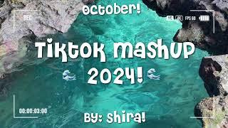 Tiktok mashup 2024