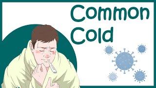 Common cold  Rhinitis & Rhinovirus  symptomstreatment and recovery