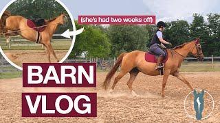 My First Ride in 2 Weeks  BARN VLOG  Equitation Station