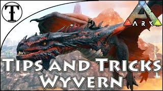 Fast Wyvern Taming Guide  Ark  Survival Evolved Tips and Ticks