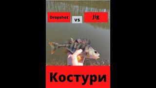 Дроп шот срещу Джиг риболов на Костур Drop shot vs JIG Perch fisihng