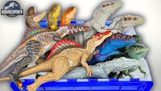 NEW Trex Irex Spino Giga Dino Figure Collection  Jurassic World Dominion Dinosaur Collectables