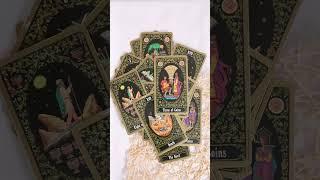 Review of Russian Tarot of St  Petersburg