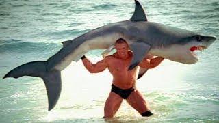 Brock Lesnar F5s a shark SummerSlam 2003 commercial