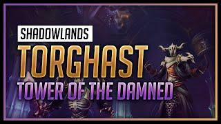 Torghast Tower of the Damned Gameplay - ITS SO GOOD - World of Warcraft Shadowlands