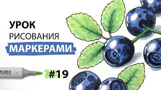 Как нарисовать чернику?  Урок по рисованию маркерами для новичков #19