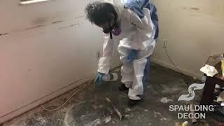 Step-by-Step Biohazard Cleanup Behind the Scenes with Our Team
