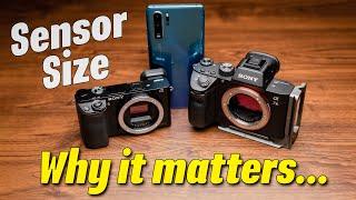 WHY SENSOR SIZE MATTERS - Do you really need a full frame camera in 2021?