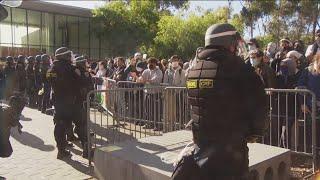 UC San Diego Protests  Calmer conditions on campus student protesters released from jail
