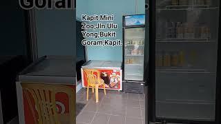Kapit Mini Zoo