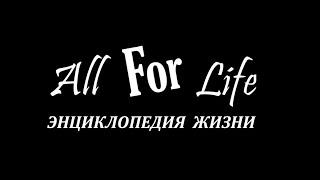 Добро пожаловать на канал All For Life