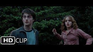 Harry and Hermione Save Buckbeak  Harry Potter and the Prisoner of Azkaban