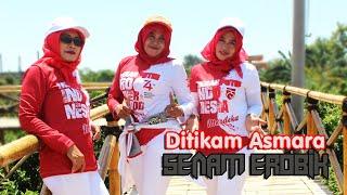 Di Tikam Asmara  Official Music Video ᴴᴰ 