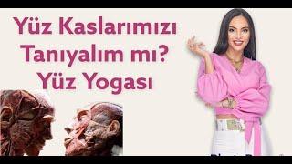 Yüz Kaslarımızı Tanıyalım - Yüz Yogası  Face Yoga