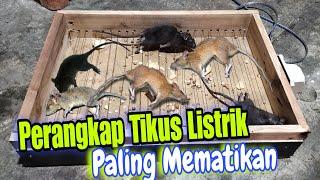 JEBAKAN TIKUS LISTRIK LANGSUNG GOSONG