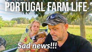 We have some sad news  PORTUGAL FARM LIFE