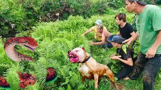 The Brave Team Of Hunters Rescuing A Young Boy Attacked By A Giant Snake  Snake King TN