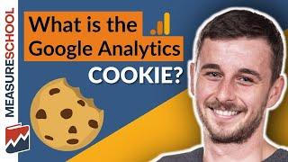 The Google Analytics Cookie Explained