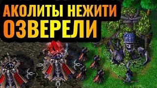 CasCraft Самая АГРЕССИВНАЯ стратегия за Нежить в Warcraft 3 Reforged