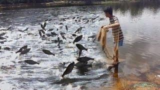 Beautiful Girl Fishing -Amazing Cute girl Catching Fish -Cambodia Traditional Fishing