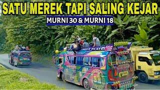 SATU MEREK TAPI SALING KEJAR - Aksi Bus Gunung Di Tikungan Tajam Lau Kaban.