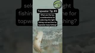 How to Master Topwater Fishing Tips from the Experts #shorts #tips #fishing
