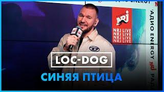 Loc-Dog - Синяя Птица LIVE @ Радио ENERGY