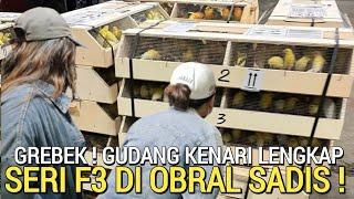 KENARI MANIA  SERI TERLENGKAP MURAH SAMPAI KENARI F3 OBRAL DI PASAR BURUNG PRAMUKA