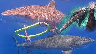 2 FISHERMEN VS GIANT 15 FOOT TIGER SHARK ATTACKS FISHERMEN FOR BARRACUDA AND THIS HAPPEN