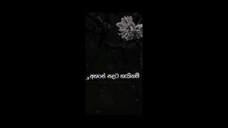 Tik tok saru tvසරු ටීවි