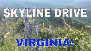 Skyline Drive Virginia
