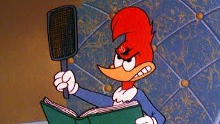 Woody Needs An Exterminator  2.5 Hours of Classic Episodes of Woody Woodpecker