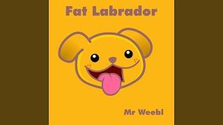 Fat Labrador