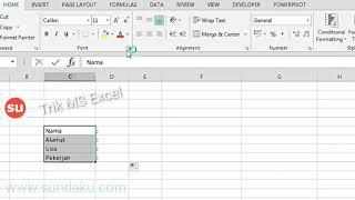 Trik Microsoft Excel Membuat Tanda Titik Dua Tanpa Pindah Cell