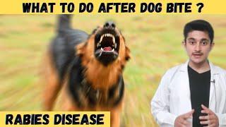 Rabies disease hindi 3d animation  What to do after dog bite  cause symptoms human  rabies virus