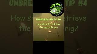 Bass Fishing Uncover Secret Tip #4 with Umbrella Rig