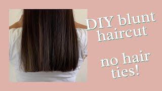 How to do a Blunt Haircut at home  DIY  Professional Hairstylist Explains