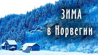 Первая зима новичков в Норвегии. Наша жизнь в доме в Норвегии