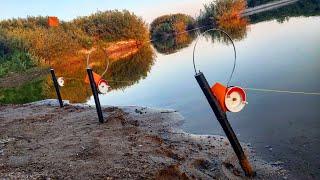 Сделал из зимних жерлиц ЗАКИДУШКИ и НАЛОВИЛ РЫБЫ Флажки стреляют Рыбалка на реке 2021.