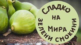 Сладко от зелени смокини  Мира показва как приготви домашно сладко от ръчно брани зелени смокини