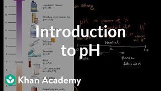 Introduction to pH  Biology foundations  High school biology  Khan Academy