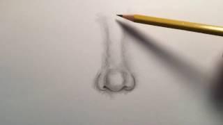 How to Draw Noses - 8th Grade Human Face Unit