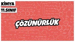 11. Sınıf Kimya -  Çözünürlük  2022